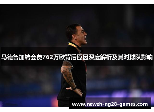 马德鲁加转会费762万欧背后原因深度解析及其对球队影响