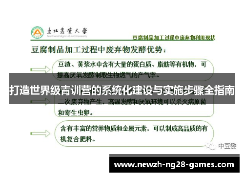 打造世界级青训营的系统化建设与实施步骤全指南